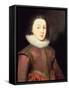 Portrait of Henry, Prince of Wales-Paul van Somer-Framed Stretched Canvas