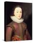 Portrait of Henry, Prince of Wales-Paul van Somer-Stretched Canvas