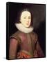 Portrait of Henry, Prince of Wales-Paul van Somer-Framed Stretched Canvas