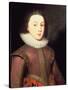 Portrait of Henry, Prince of Wales-Paul van Somer-Stretched Canvas