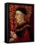 Portrait of Henry V (1387-1422)-null-Framed Stretched Canvas