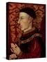 Portrait of Henry V (1387-1422)-null-Stretched Canvas