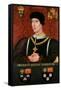 Portrait of Henry VI of England-Francois Clouet-Framed Stretched Canvas