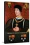 Portrait of Henry VI of England-Francois Clouet-Stretched Canvas