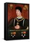 Portrait of Henry VI of England-Francois Clouet-Framed Stretched Canvas