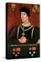 Portrait of Henry VI of England-Francois Clouet-Stretched Canvas