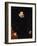 Portrait of Hernan Cortes-Alonso Sanchez Coello-Framed Giclee Print