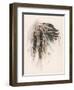 Portrait of Hiawatha-Harrison Fisher-Framed Photographic Print