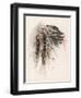 Portrait of Hiawatha-Harrison Fisher-Framed Photographic Print