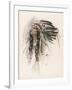 Portrait of Hiawatha-Harrison Fisher-Framed Premium Photographic Print