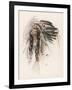 Portrait of Hiawatha-Harrison Fisher-Framed Premium Photographic Print