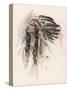 Portrait of Hiawatha-Harrison Fisher-Stretched Canvas