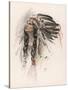 Portrait of Hiawatha-Harrison Fisher-Stretched Canvas