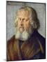 Portrait of Hieronymus Holzschuher, 1526-Albrecht Dürer-Mounted Giclee Print