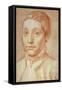 Portrait of His Son, Antonio Carracci, 1592-95-Agostino Carracci-Framed Stretched Canvas