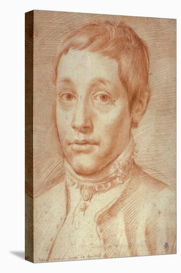 Portrait of His Son, Antonio Carracci, 1592-95-Agostino Carracci-Stretched Canvas