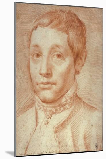 Portrait of His Son, Antonio Carracci, 1592-95-Agostino Carracci-Mounted Giclee Print