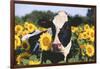 Portrait of Holstein Cow Standing in Sunflowers, Pecatonica, Illinois, USA-Lynn M^ Stone-Framed Premium Photographic Print