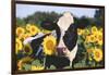 Portrait of Holstein Cow Standing in Sunflowers, Pecatonica, Illinois, USA-Lynn M^ Stone-Framed Photographic Print