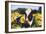 Portrait of Holstein Cow Standing in Sunflowers, Pecatonica, Illinois, USA-Lynn M^ Stone-Framed Photographic Print