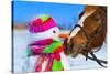 Portrait of Horse and Snowman in Winter Landscape.-PH.OK-Stretched Canvas