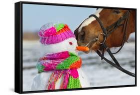 Portrait of Horse and Snowman in Winter Landscape.-PH.OK-Framed Stretched Canvas