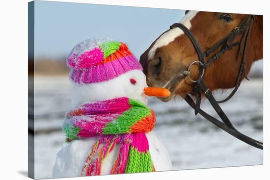 Portrait of Horse and Snowman in Winter Landscape.-PH.OK-Stretched Canvas