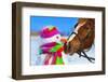 Portrait of Horse and Snowman in Winter Landscape.-PH.OK-Framed Photographic Print