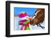 Portrait of Horse and Snowman in Winter Landscape.-PH.OK-Framed Photographic Print