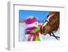 Portrait of Horse and Snowman in Winter Landscape.-PH.OK-Framed Photographic Print