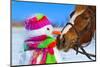 Portrait of Horse and Snowman in Winter Landscape.-PH.OK-Mounted Photographic Print