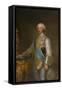 Portrait of Infante Don Luis De Borbon, C.1776 (Oil on Canvas)-Anton Raphael Mengs-Framed Stretched Canvas