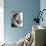 Portrait of Ingrid Bergman-null-Photo displayed on a wall