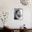 Portrait of Ingrid Bergman-null-Photo displayed on a wall