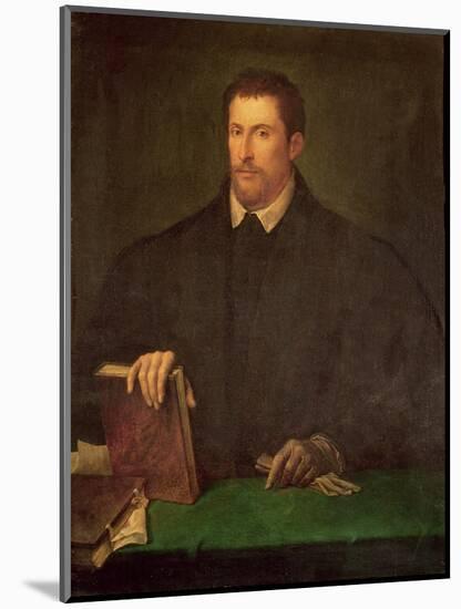 Portrait of Ippolito Riminaldi-Titian (Tiziano Vecelli)-Mounted Giclee Print