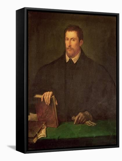 Portrait of Ippolito Riminaldi-Titian (Tiziano Vecelli)-Framed Stretched Canvas