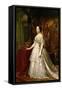 Portrait of Isabella II of Spain, 1844-Federico De madrazo-Framed Stretched Canvas