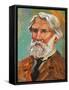 Portrait of Ivan Sergeyevich Turgenev (Orel, 1818-Bougival, 1883), Russian Writer-null-Framed Stretched Canvas