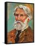 Portrait of Ivan Sergeyevich Turgenev (Orel, 1818-Bougival, 1883), Russian Writer-null-Framed Stretched Canvas