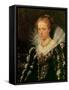 Portrait of Jacqueline Van Caestre, Wife of Jean-Charles De Cordes (Oil on Wood)-Peter Paul Rubens-Framed Stretched Canvas