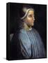 Portrait of Jacques Coeur, Treasurer of King Charles VII-null-Framed Stretched Canvas