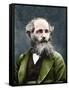 Portrait of James Clerk Maxwell (1831-1879), Scottish physicist-English Photographer-Framed Stretched Canvas