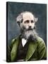 Portrait of James Clerk Maxwell (1831-1879), Scottish physicist-English Photographer-Stretched Canvas