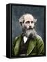 Portrait of James Clerk Maxwell (1831-1879), Scottish physicist-English Photographer-Framed Stretched Canvas