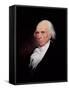 Portrait of James Madison, 1833-Asher Brown Durand-Framed Stretched Canvas