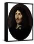 Portrait of Jean-Baptiste Colbert de Torcy-Claude Lefebvre-Framed Stretched Canvas