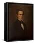 Portrait Of Jefferson Davis-Carol Highsmith-Framed Stretched Canvas