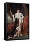 Portrait of Jerome Bonaparte by Francois-Joseph Kinson-null-Framed Stretched Canvas