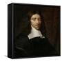 Portrait of Johan De Witt, Grand Pensionary of Holland-Caspar Netscher-Framed Stretched Canvas