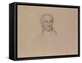 Portrait of Johann Wolfgang Von Goethe, 1828-Joseph Karl Stieler-Framed Stretched Canvas